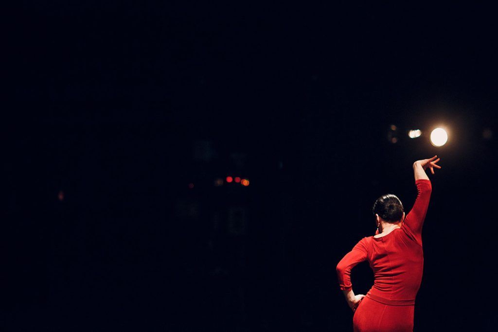 PALOS DEL FLAMENCO