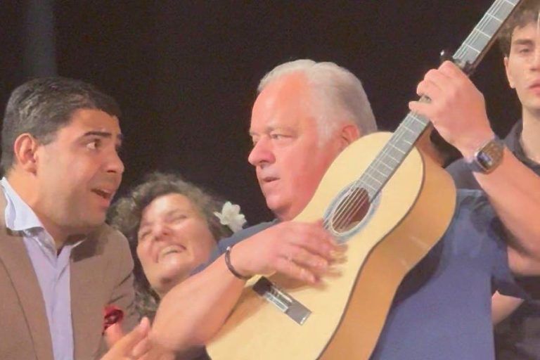 Guitarrista acompañando al cante en un escenario